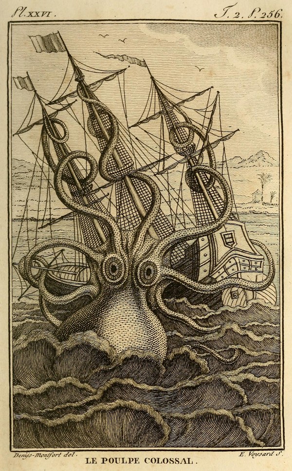 kraken image Wikipedia