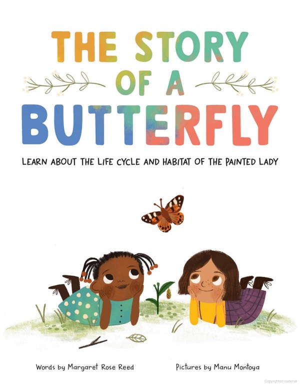 Story of the Butterfly Image