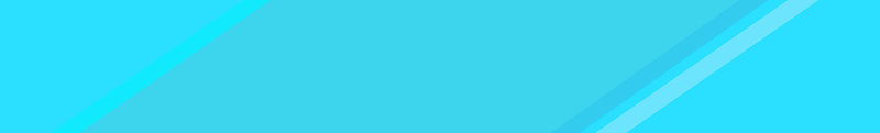 Internal Header